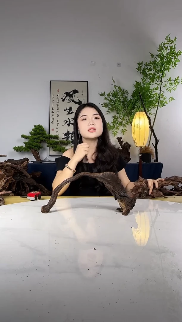 @*望拍这个定向编号25