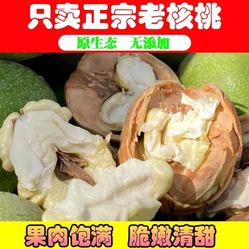 大凉山新鲜湿核桃去青皮生态无漂白美味脆嫩买三斤送两斤