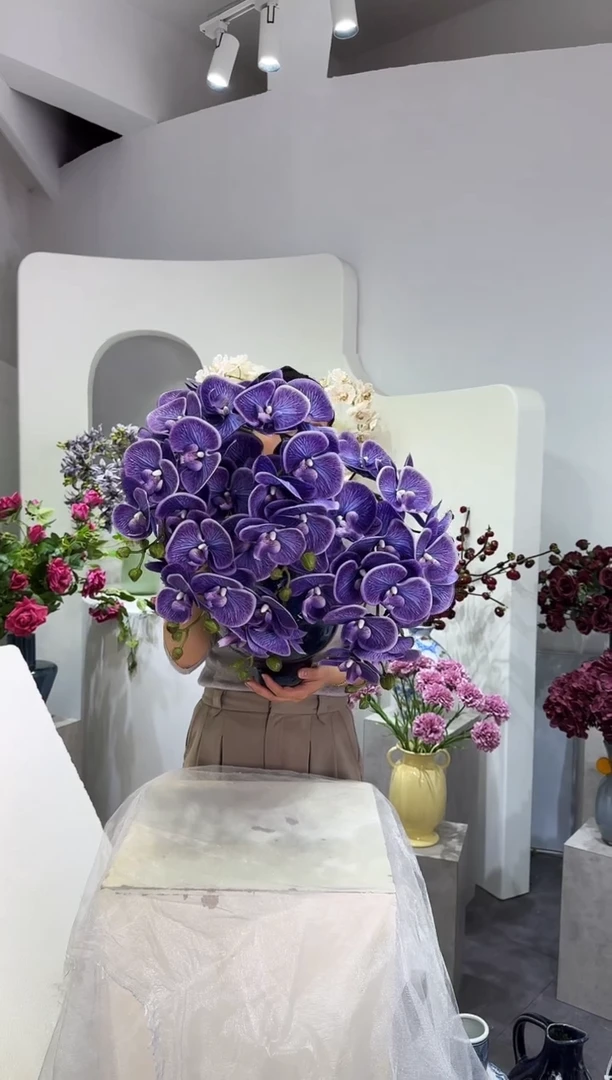 【闪购商品】藤8支新款蓝紫蝴蝶兰