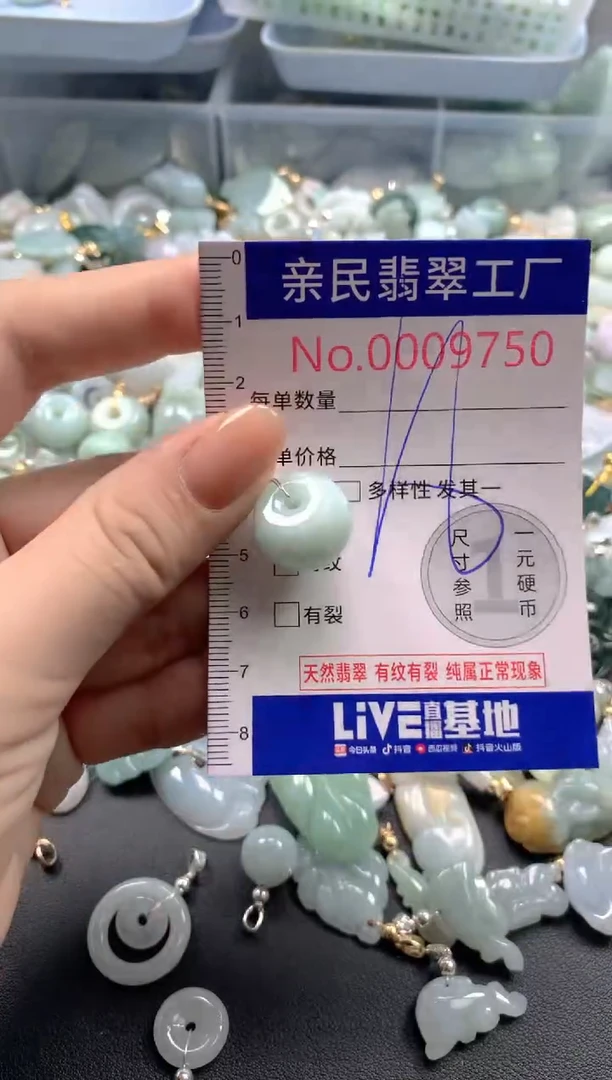颈饰未镶嵌翡翠9750