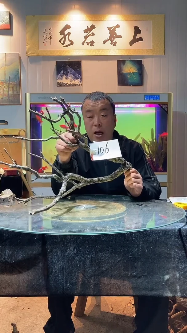 106号天然黄栎木长度57高度33适合60缸