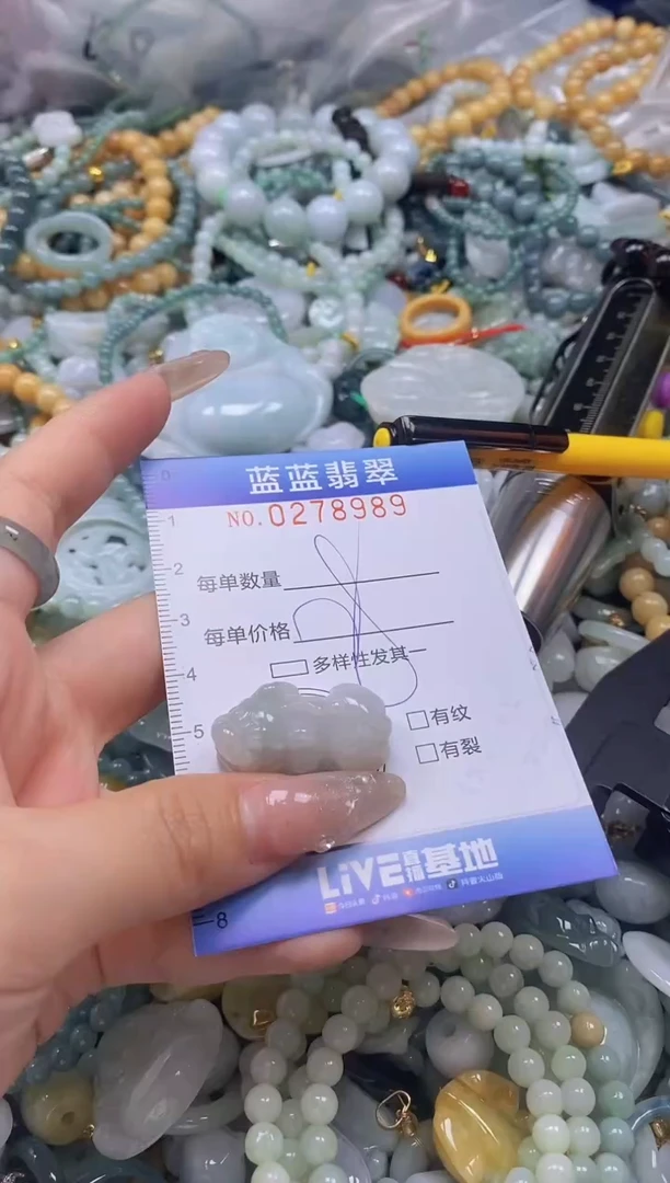 翡翠未镶嵌颈饰闪购0278989