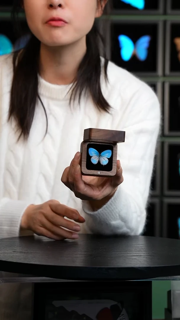 天空蓝优雅灰蝶胡桃木款