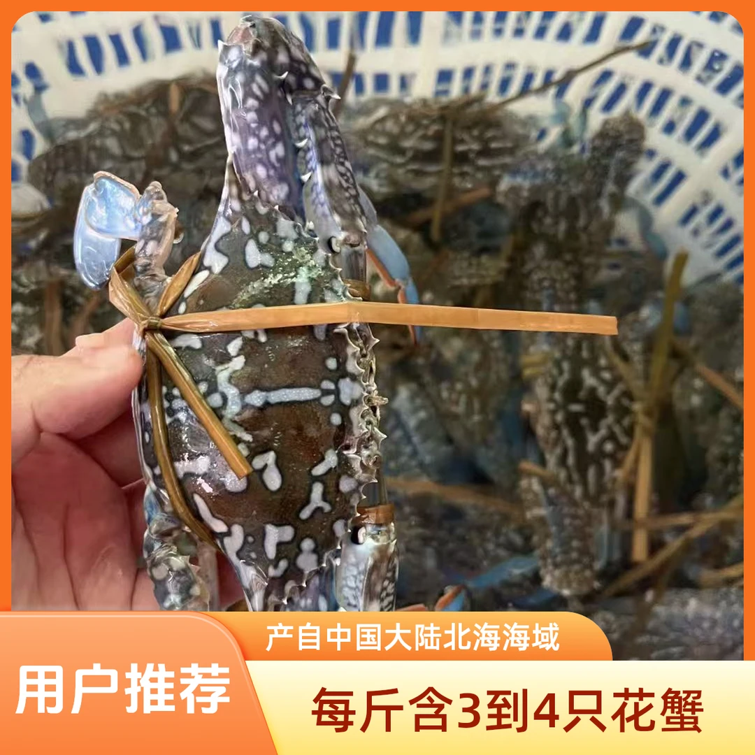 （鲜活）花蟹（一斤约2-3只）