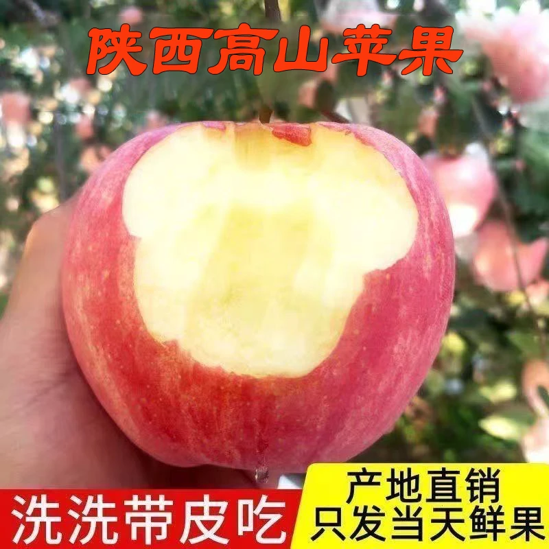 陕西正宗高山苹果水果新鲜当季红富士冰糖心脆甜丑苹果包邮