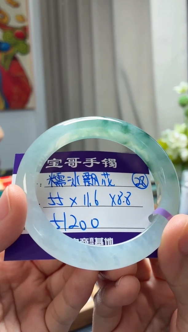 未镶嵌手镯翡翠翡翠手镯28号