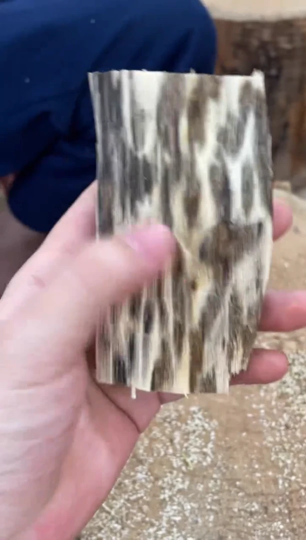 沉香沉香碎屑棋楠沉香 原料文创1