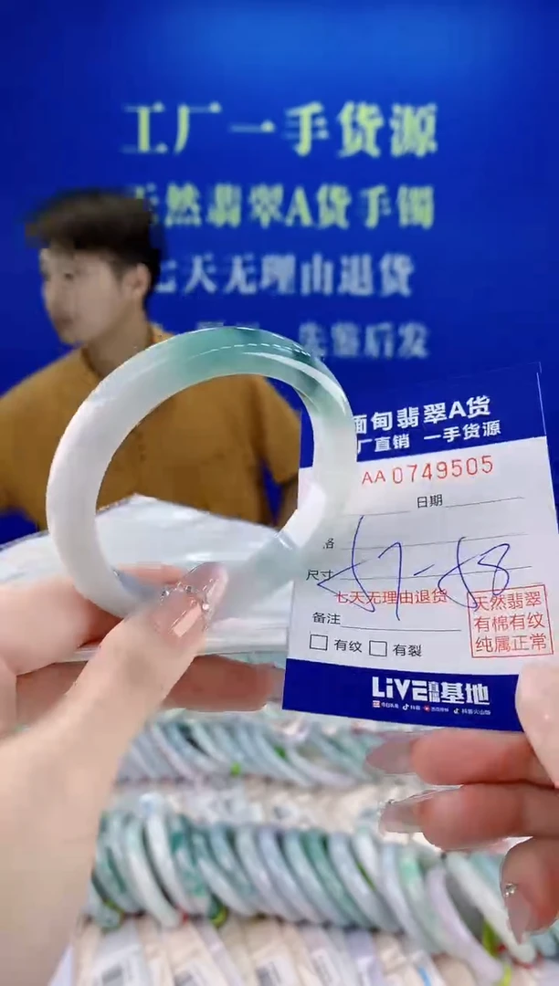 未镶嵌手镯翡翠05