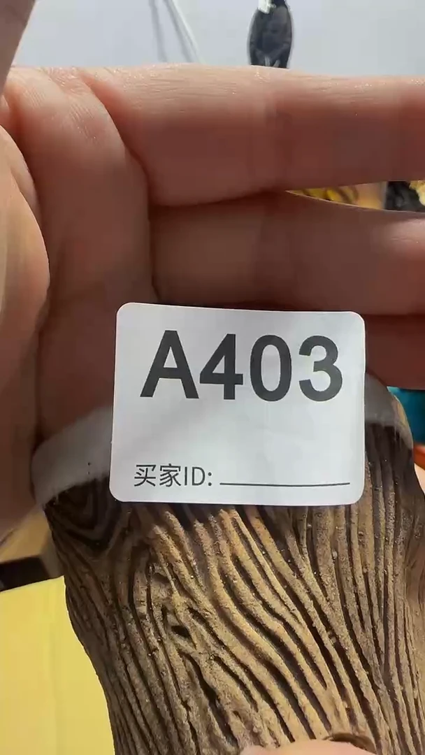 瓷片丧*彪精美瓷片啦啦啦啦