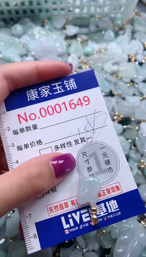 颈饰未镶嵌翡翠1649