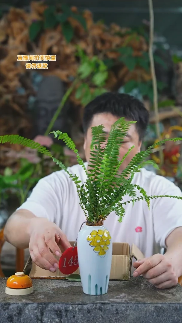 当前无花栽培后可以开花145肾蕨+