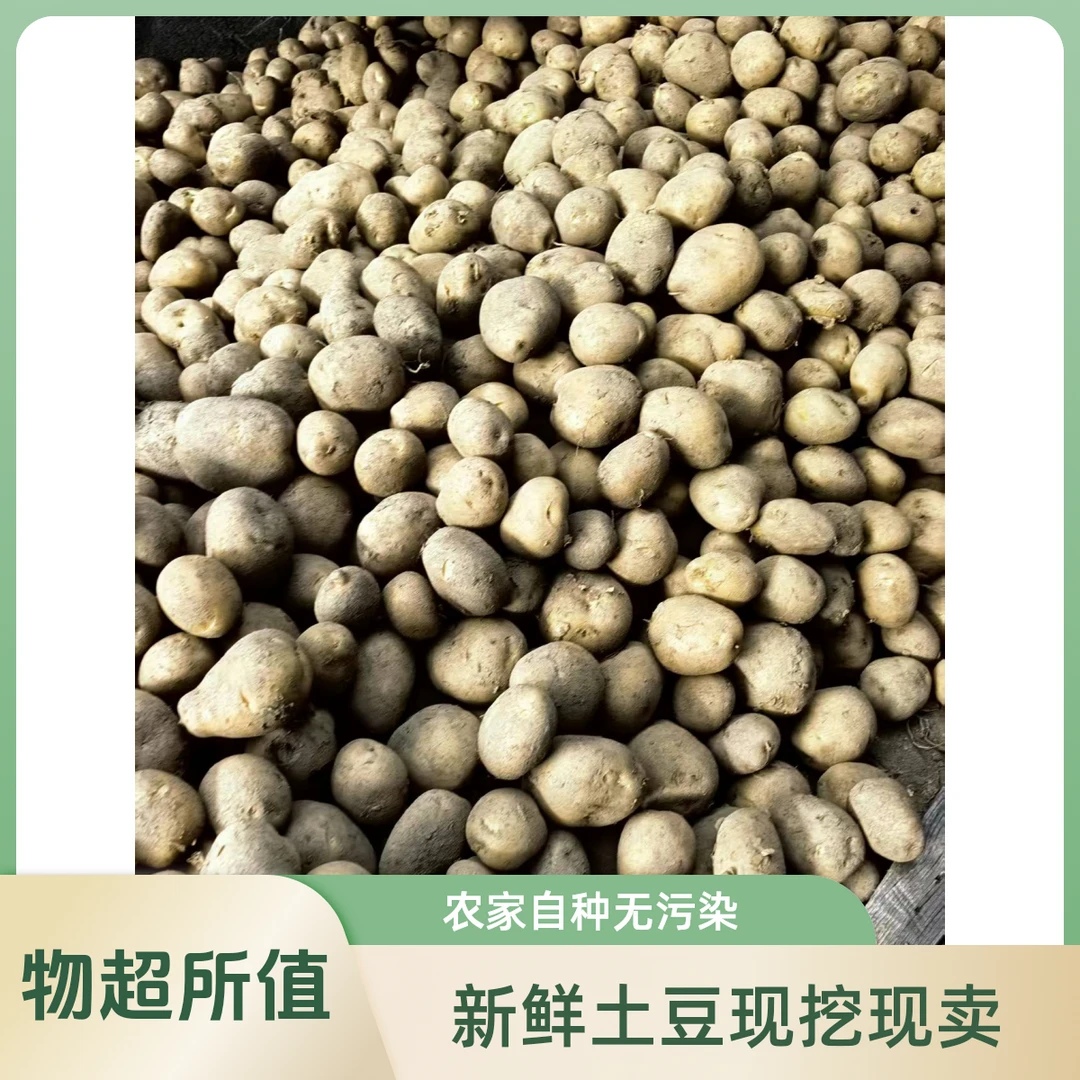 平利八仙现挖新鲜黄土豆农产品黄洋芋马铃薯5斤洋芋粑粑