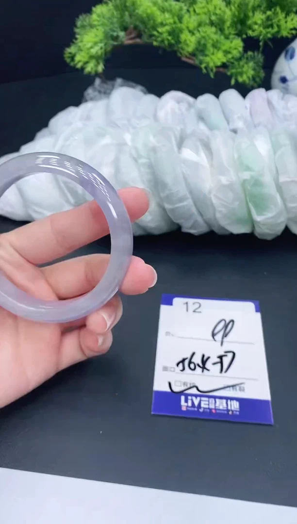 未镶嵌手镯翡翠12