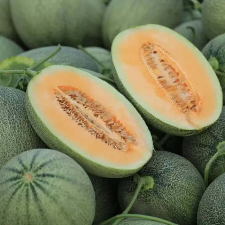 孙蜜同学哈密瓜