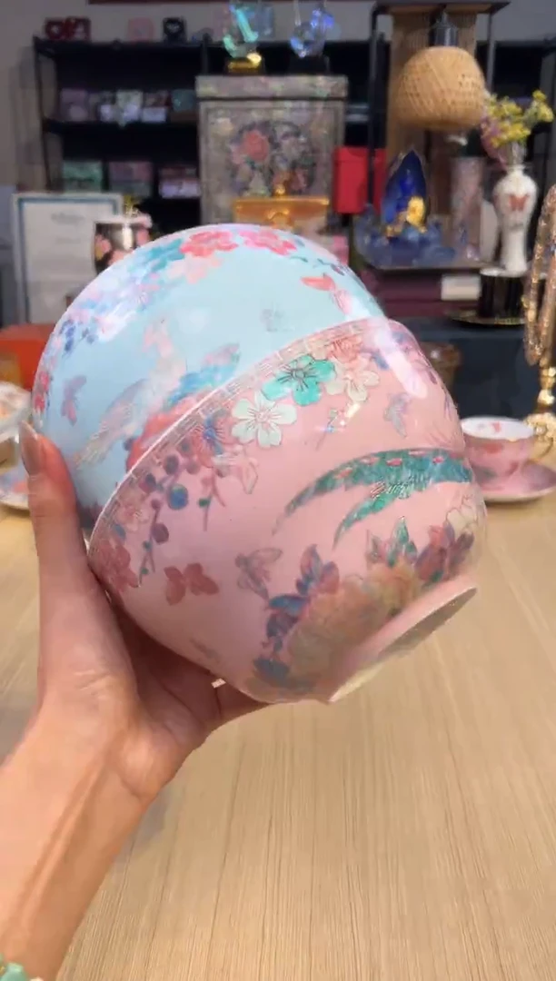 165灵羽和鸣面碗套二（粉色+蓝色）