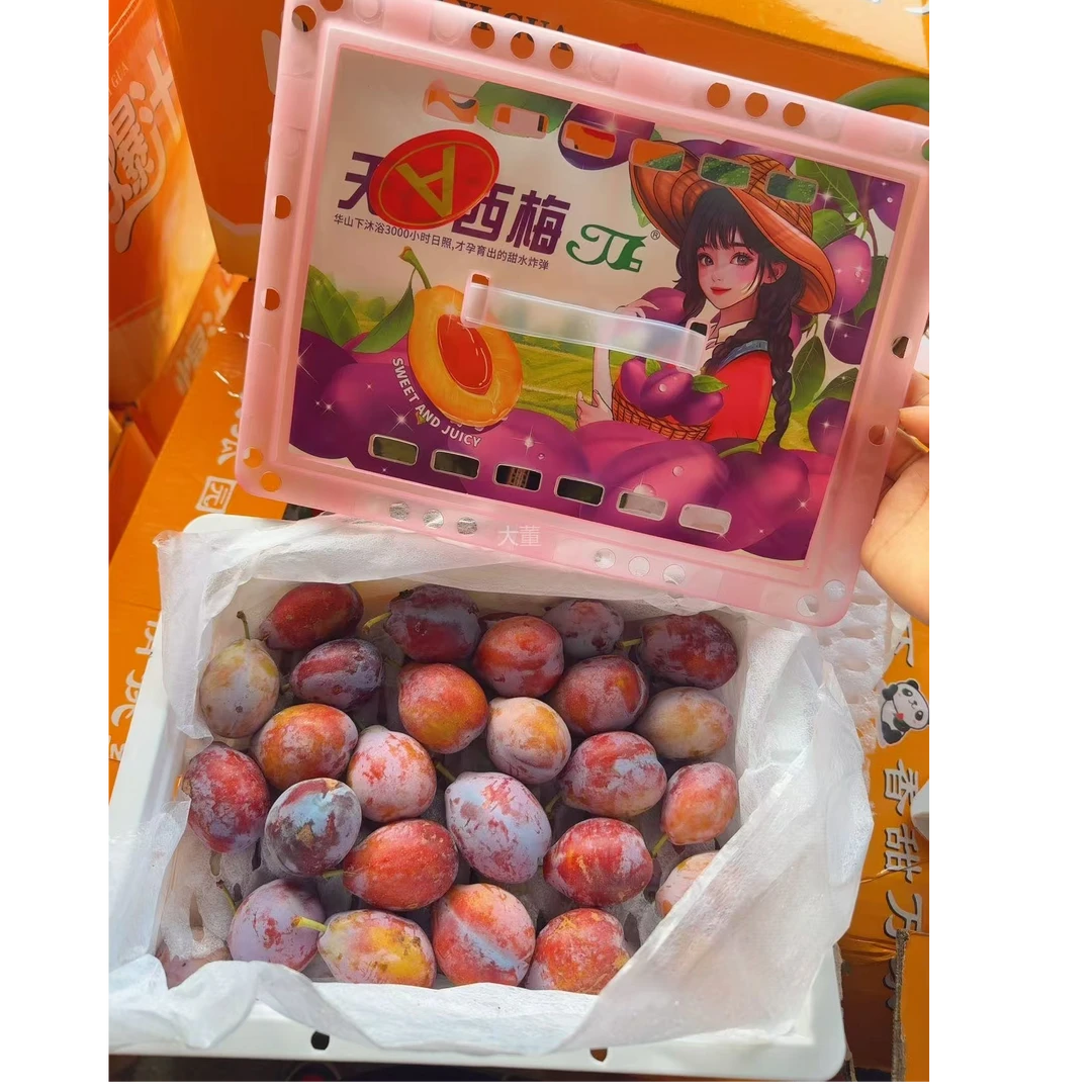 【大董】西梅3斤左右/筐