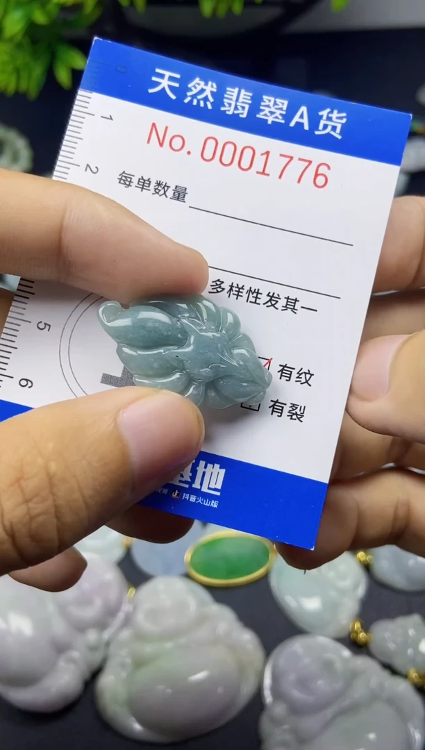 翡翠未镶嵌吊坠(不含链)翡翠
