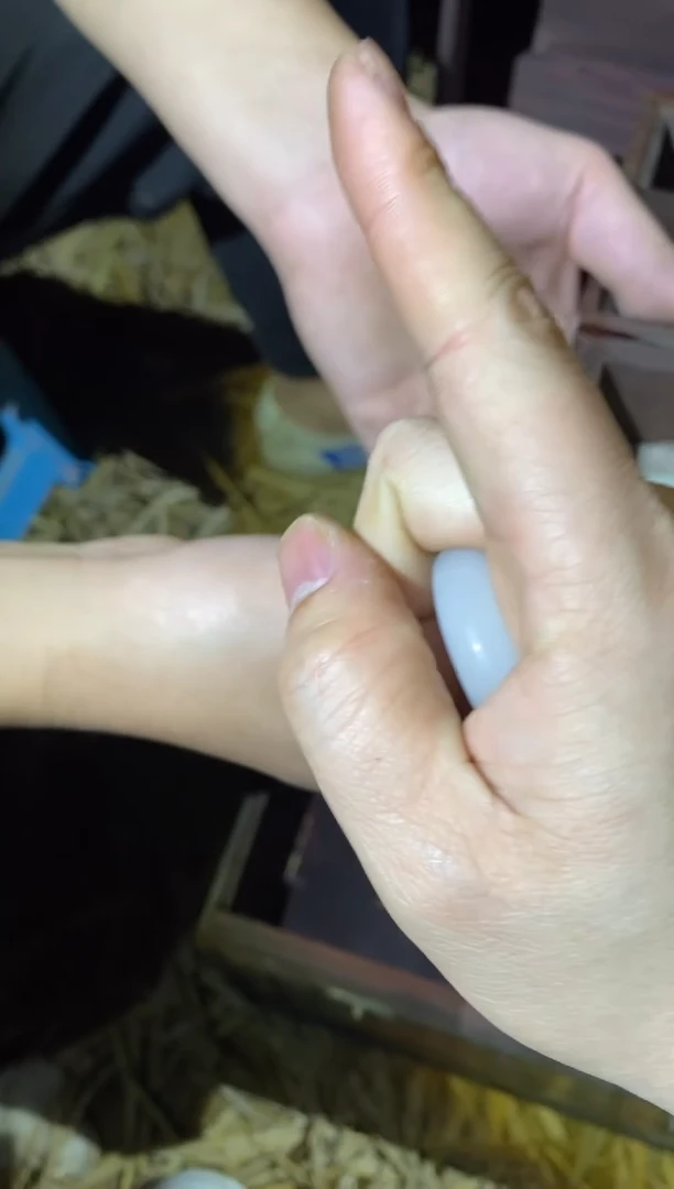 【闪购商品】趣味文玩摆件趣味文玩摆件