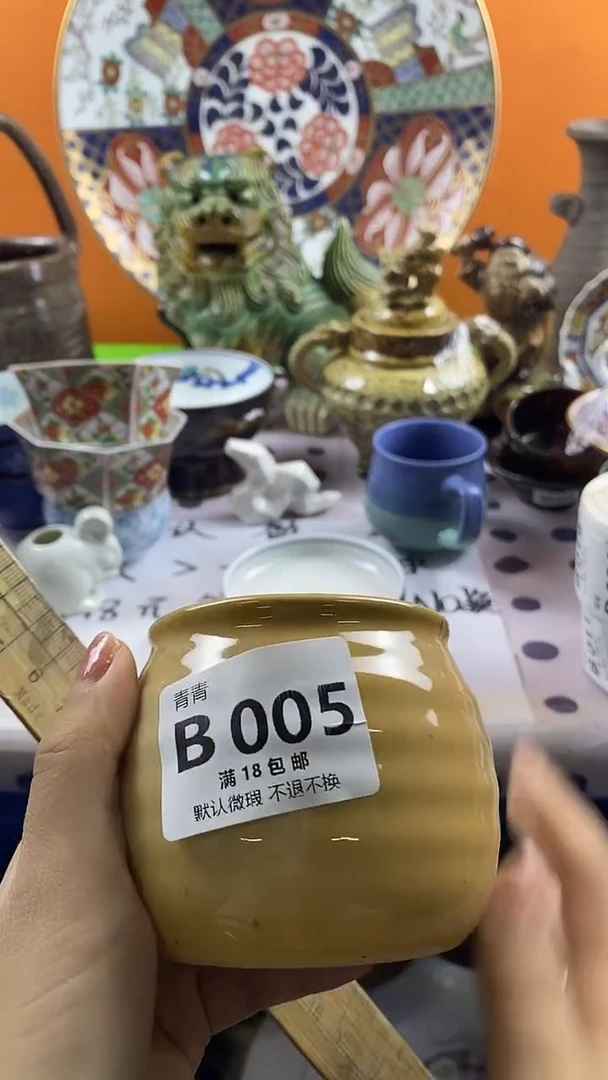 瓷片幸***儿默认微瑕，谨慎参拍B005