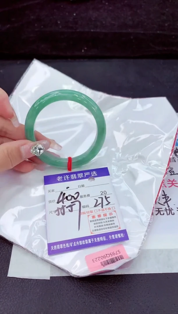 未镶嵌手镯翡翠1