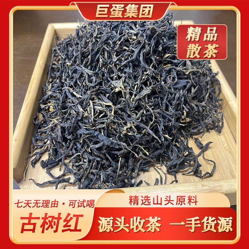 2025 凤庆锦绣 古树红茶  500年古树10g散茶