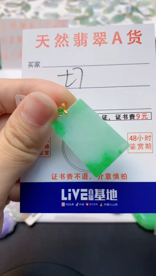 颈饰18K金镶嵌翡翠天然缅甸A货翡翠百元以上9元证书费自理