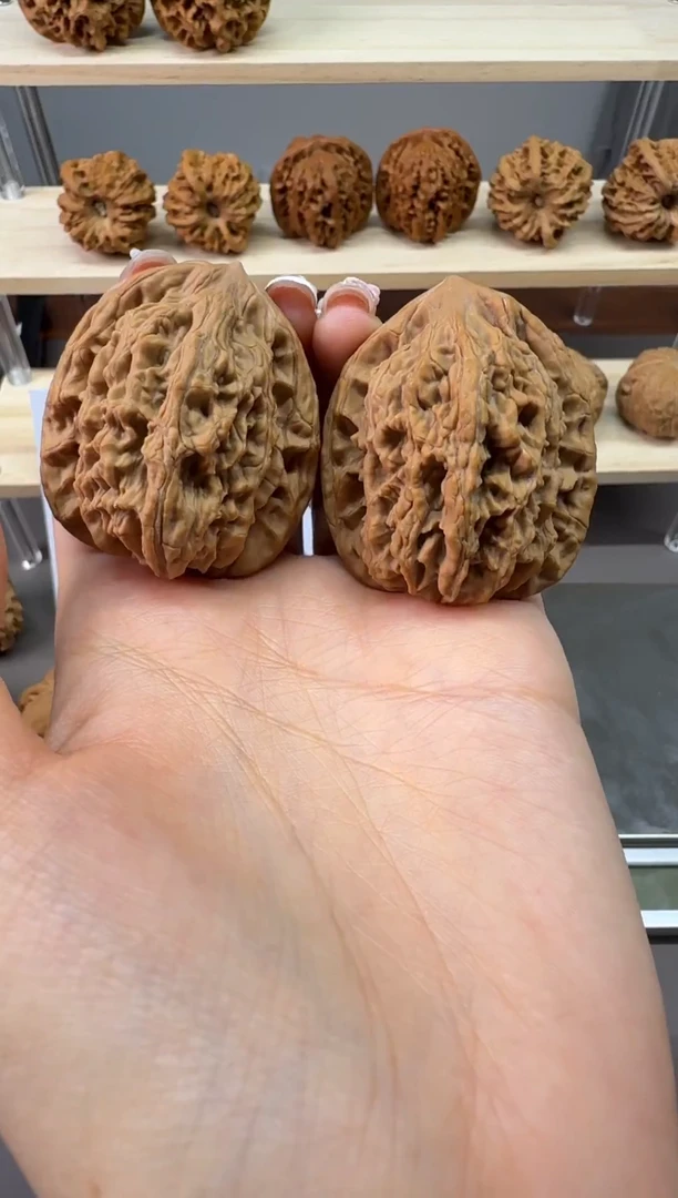 40全品堂上虎头哈哈哈