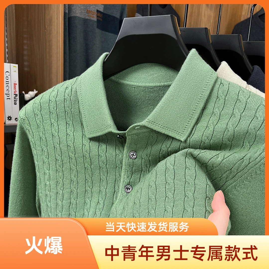 男士春秋季新款轻奢百搭长袖中青年翻领休闲上衣保暖内搭针织衫