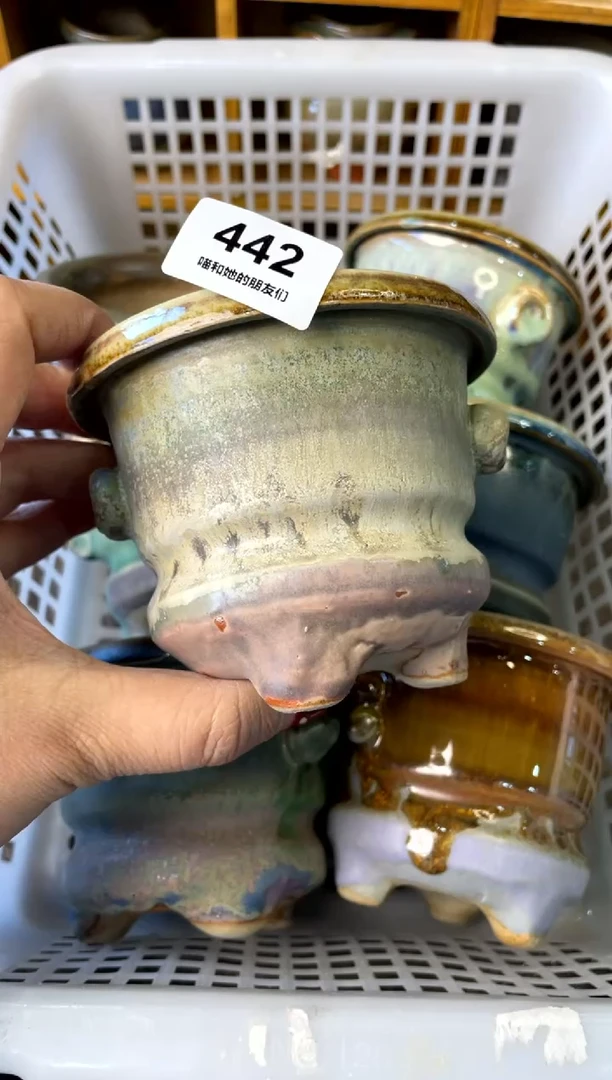 【闪购商品】陶微瑕442