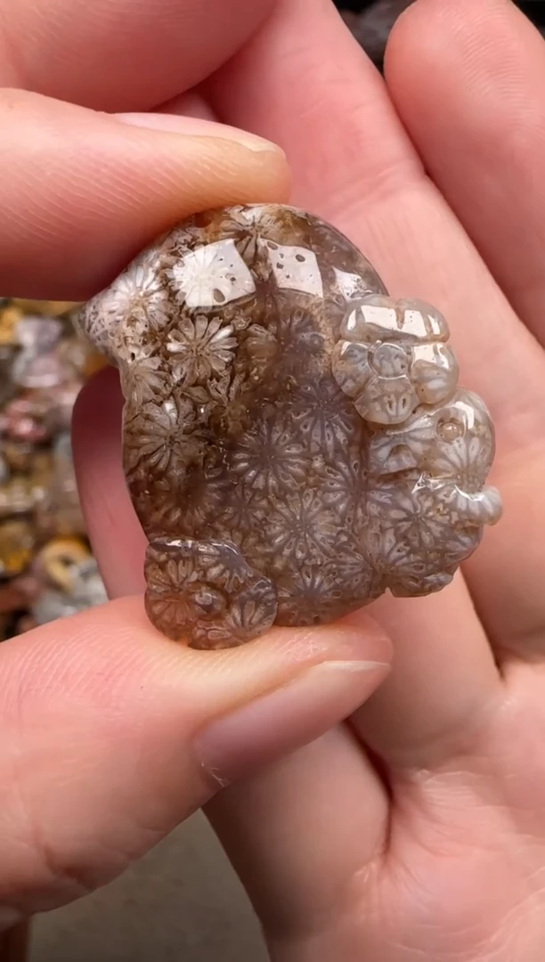 硅化珊瑚（珊瑚玉）未镶嵌颈饰367