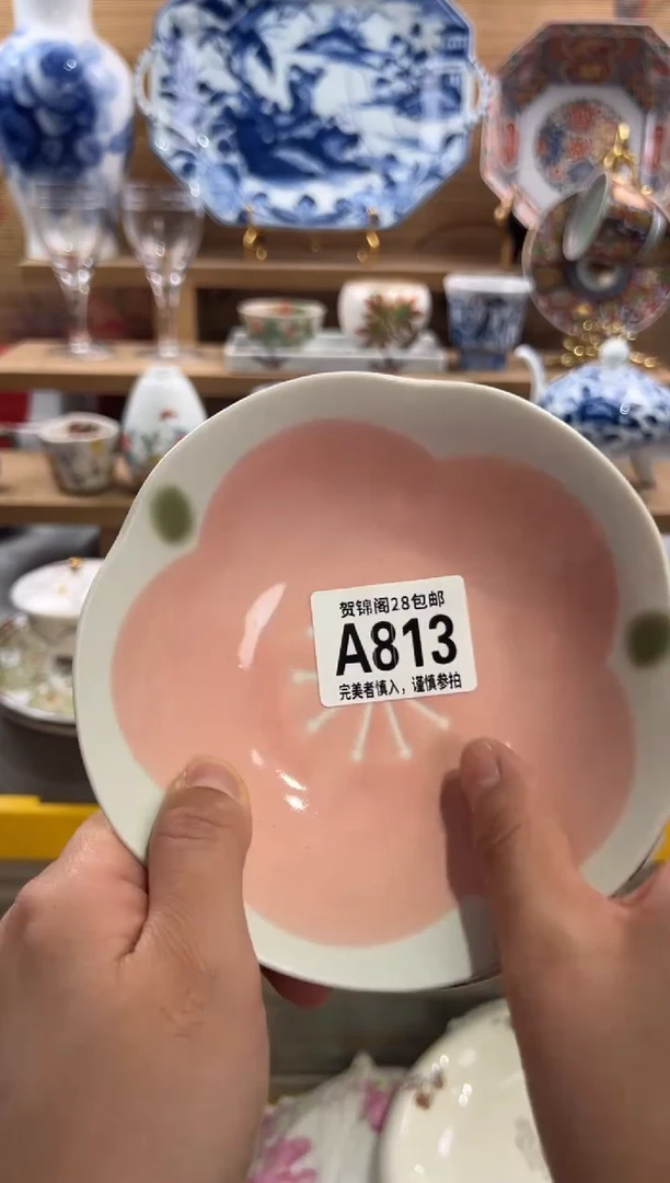 瓷片?****?      A813