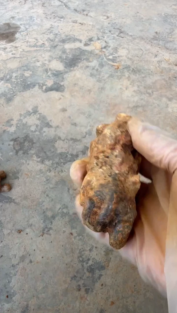 未镶嵌岫岩河磨玉（透闪石质玉）挂件玉器555555