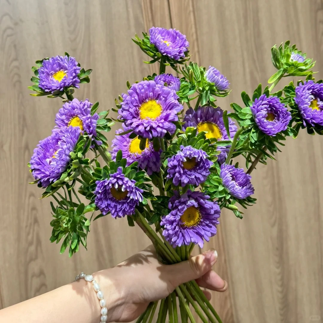 【翠菊紫】精选品质5枝全场任意满两单及以上鲜花 顺丰包邮发货