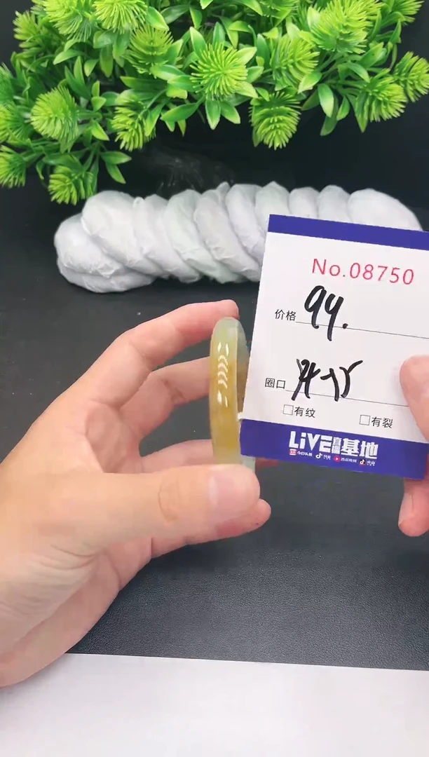 未镶嵌手镯翡翠8750