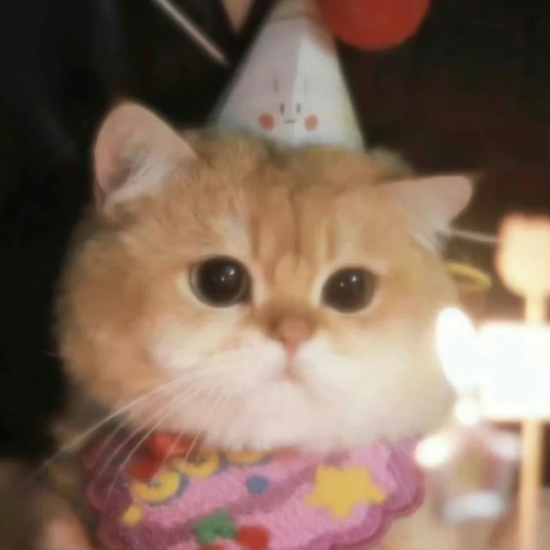 猫猫零食集合链接