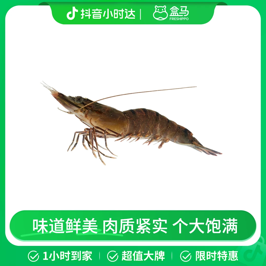 鲜活 高盐黑金刚虎虾 350g/份(约13-18只)