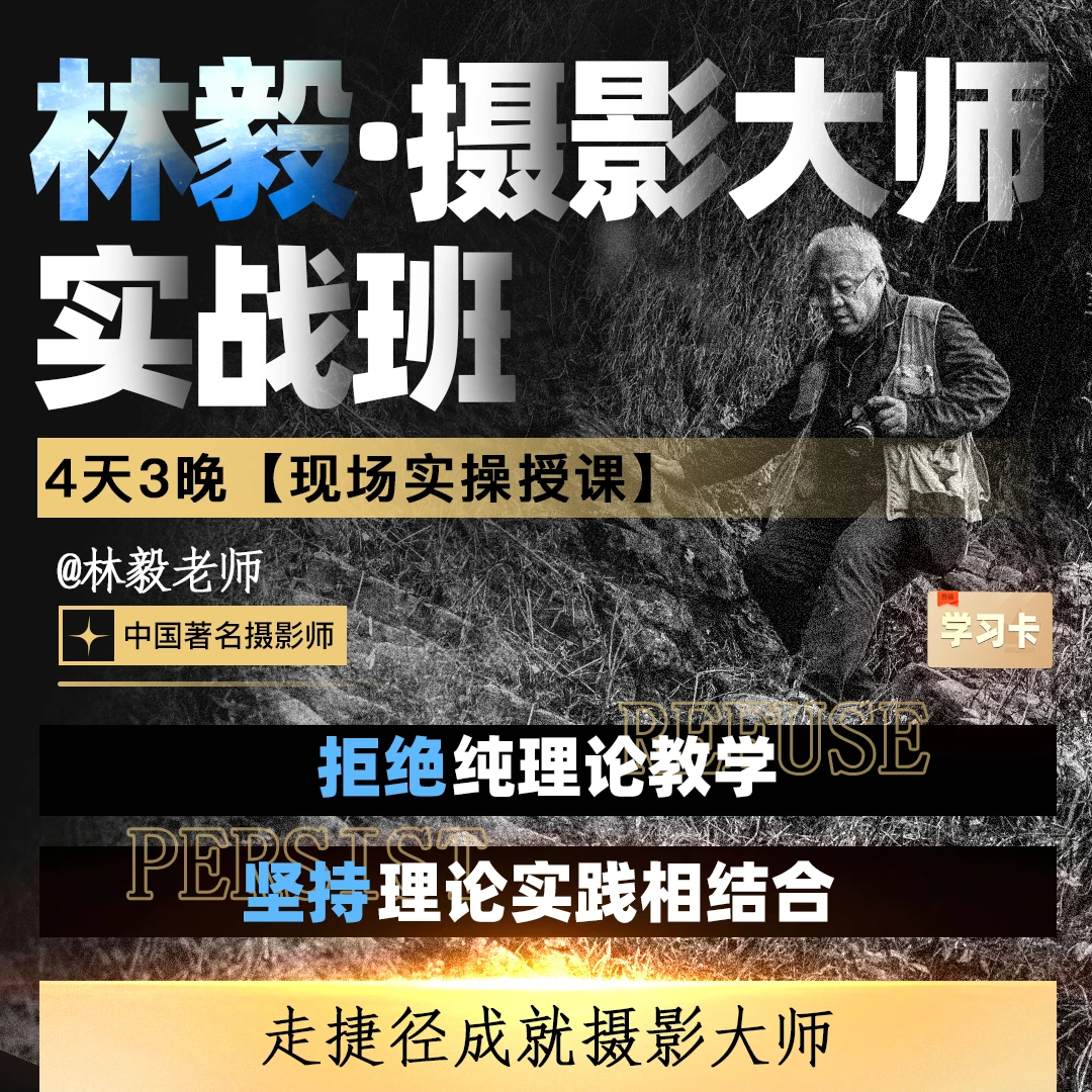 林毅:摄影大师实战班-现场课