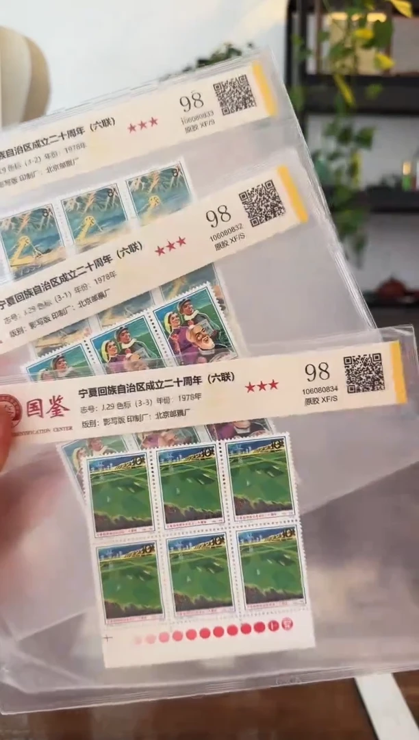 J29宁夏回族六联色标