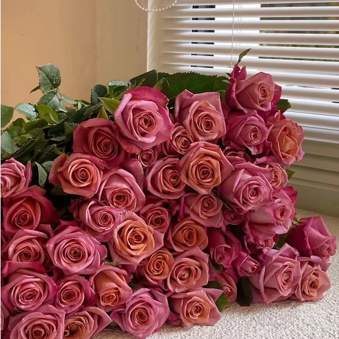 （调香师-单头玫瑰）玫瑰云南基地直发生活鲜花