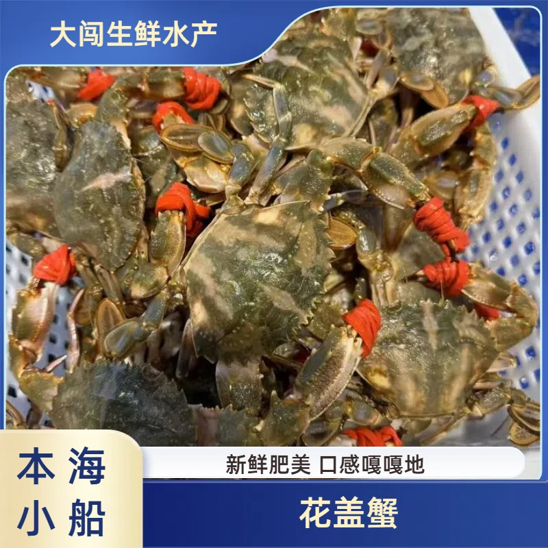 渤海本海小船货花盖蟹可生腌可清蒸螃蟹【保鲜不保活】