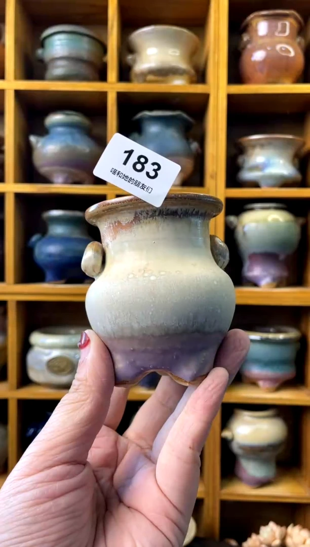 【闪购商品】陶183 内口5【多肉花盆多肉盆】