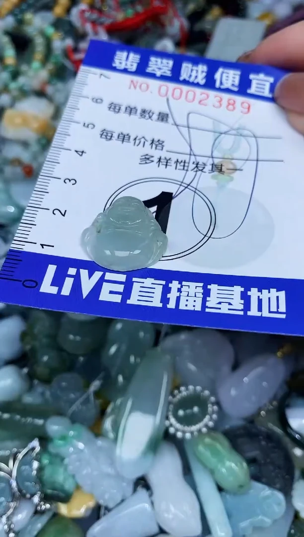 【闪购商品】翡翠未镶嵌颈饰闪购0002389多样性发其一