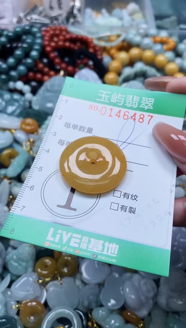 翡翠未镶嵌颈饰闪购0146487