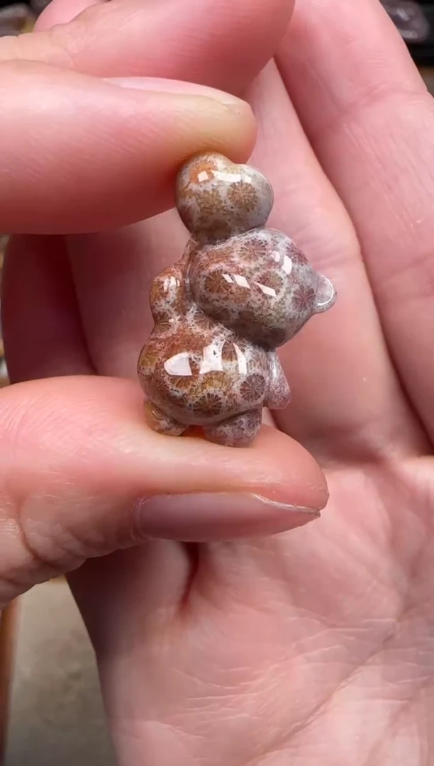 颈饰未镶嵌硅化珊瑚（珊瑚玉）165