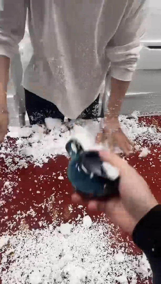 【闪购商品】精品茶具@@@@@@@@@@@