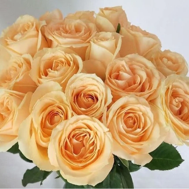 【专属】5枝香槟玫瑰花