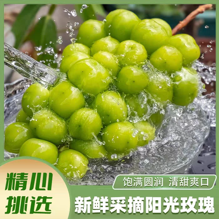 阳光玫瑰葡萄新鲜当季水果顺丰包邮脆甜无籽青提