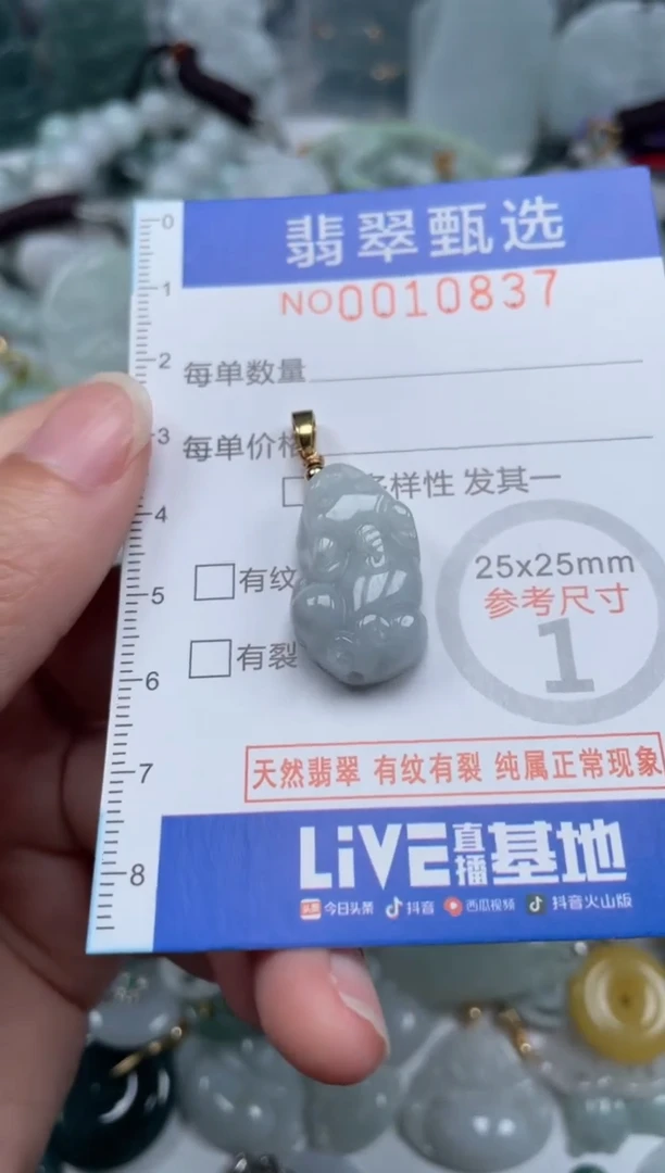 颈饰未镶嵌翡翠10837