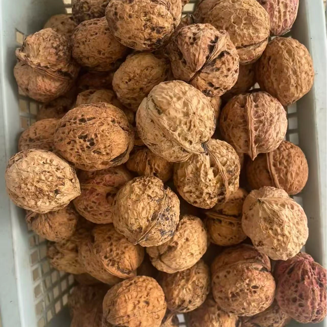 贵州深山老树核桃铁核桃老家核桃农家直供