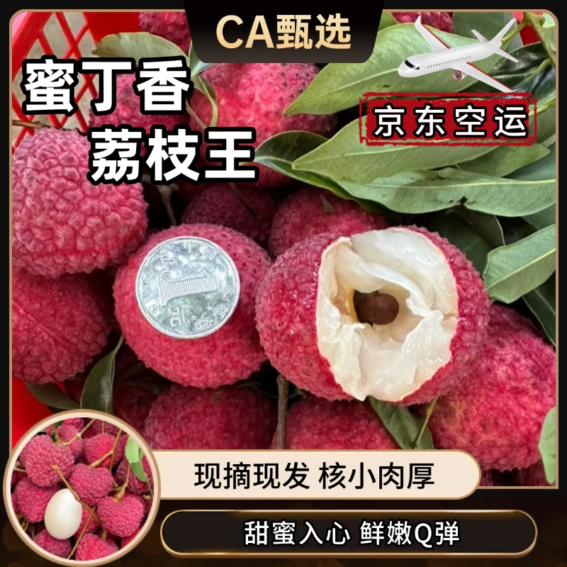 【京东空运】福建荔枝王蜜丁香 肉厚核小 果园现摘现发